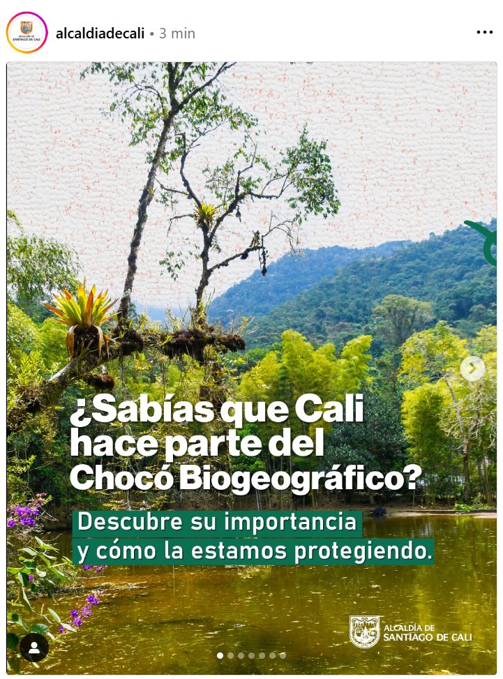 ¿Cómo así que Cali hace parte del Chocó biogeográfico? ¿de qué me perdí?