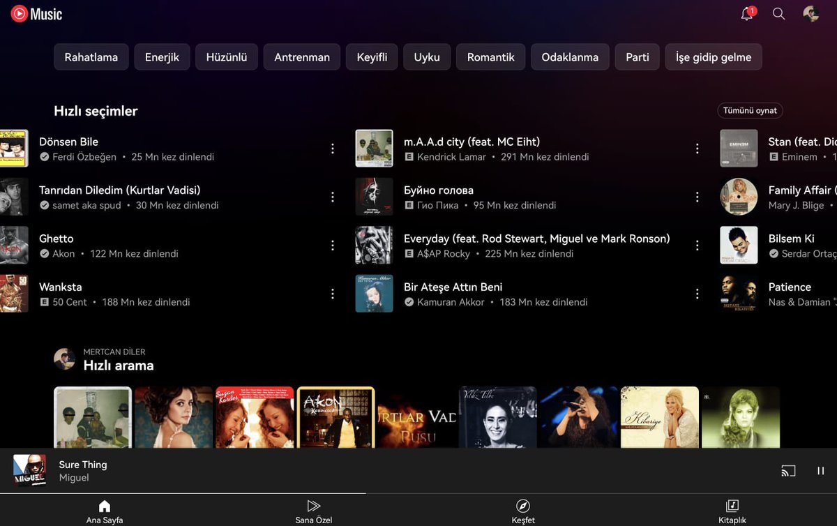 AGA Bi tek benim listemi böyle arap...