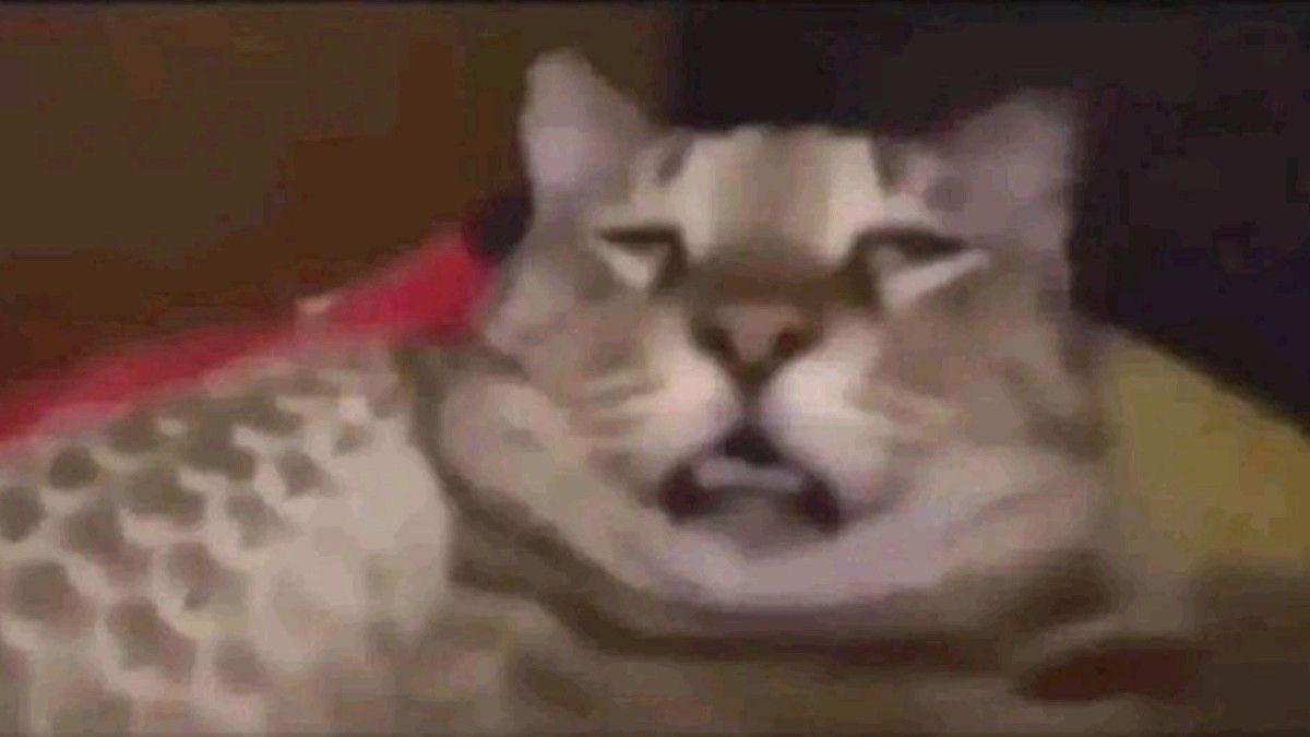 reaaaaally curious, what art of mine did you guys discover me from