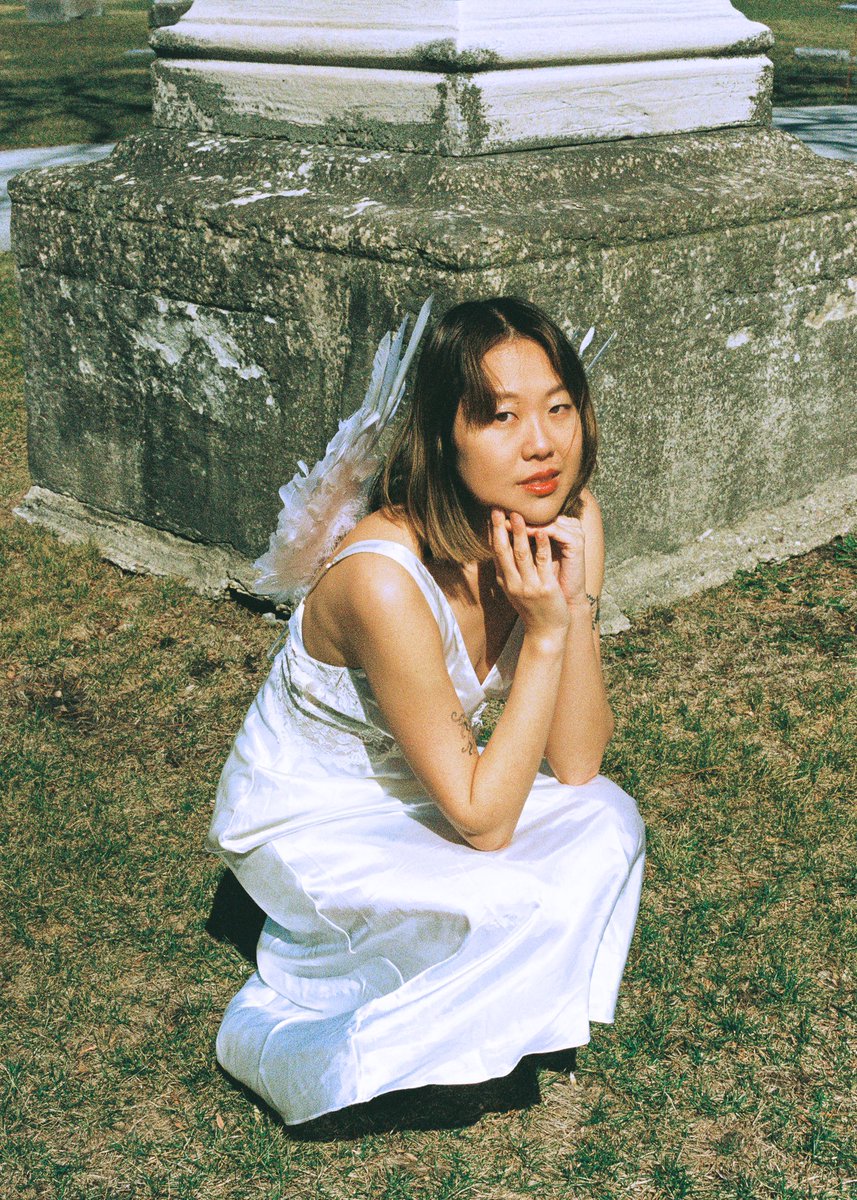 pictoria vark tweet media