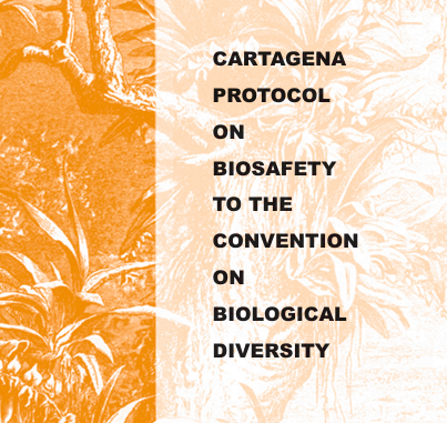 UNBiodiversity's tweet image. Videos now available to guide Biosafety Clearing-House  National Focal Points &amp;amp; National Authorized Users on submitting the Fifth National Report under the Cartagena Protocol.

📽️ Watch in EN, FR, RU &amp;amp; ES

🔗 Learn more shorturl.at/NFmMY

@BCHCPB 
#LMOs #GMOs #biotech