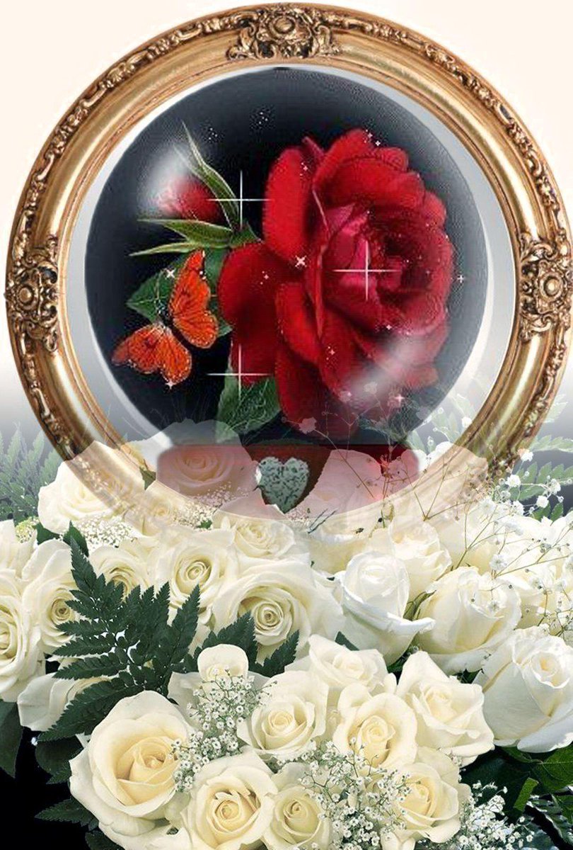 باك مضمون 🩷  
#ابومعتز_المعازى
<a href="/mtza111/">ابو معتز المعازى</a> 
<a href="/mtza222/">ابو معتز المعازى</a> 
<a href="/mtza333/">ابو معتز المعازى</a>
<a href="/MoeAreqei/">محمد ( ابو مدد )</a> 
<a href="/G_0_UG/">💰8الدكتور2💰</a> 
<a href="/AlaJawyd10907/">بنت الا جاويد</a> 
<a href="/K39kb/">حسين العلي</a> 
<a href="/WehbeYm2/">YmWehbe حساب بديل</a> 
<a href="/y__15500/">حلاااااتي بضحكااااتي 🇸🇦</a> 
<a href="/7rtrtr/">‏ ܩߺࡋߺܭܘ߳ إلا حساس👑</a> 
<a href="/Mahrr0/">ماهر محمد مرشد الكامل حساب بديل</a> 
<a href="/alhsn8302/">خﮧآلﮧد آلﮧحﮧسﮧنﮧ</a> 
<a href="/N_D_E_R7/">نذير هزاع العمري</a> 
<a href="/_HZTT/">عيون المها 🇮🇶</a> 
<a href="/WX2fu/">مهندس ايمن عماره</a> 
<a href="/aa1ji/">عـــــــــــــزوز 🇸🇦🇸🇦</a> 
<a href="/sadal27/">أبوعبدالرحمن</a> 
<a href="/Ghi1D/">غـــــــيداء 🌺</a> 
<a href="/Mr_qleess/">الشيخ / غليص ولد رماح</a> 
<a href="/poohglam/">فرز القلم</a> 
@mnymmd758619 
<a href="/Eimirahahleh/">᭓رســـــ قلـبي ـــــائل᭓</a> 
<a href="/7tttJ/">ᘓɹ̇ɹ̤jɺI g͠ᓄɹɹɹ</a>