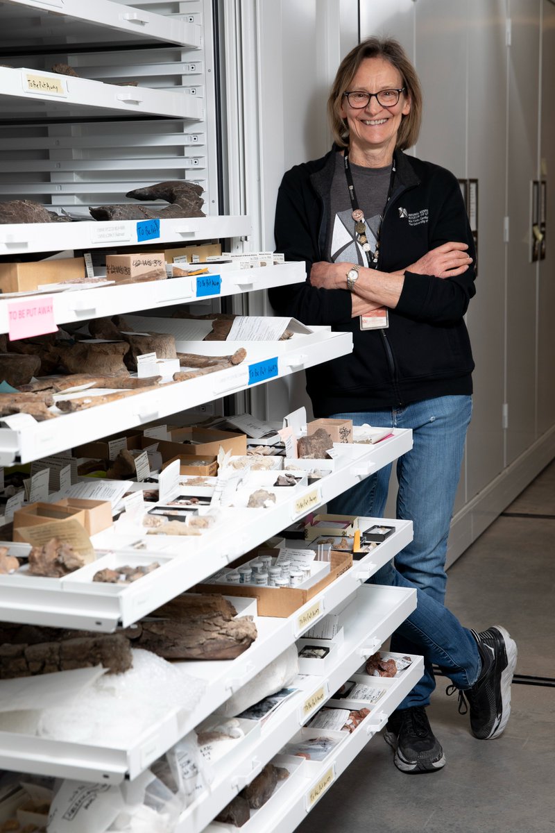 It is volunteer appreciation week! From preparing fossils to traveling with our exhibits across Utah, volunteers use their diverse backgrounds and passions to contribute to almost every space at the Museum.

 Be sure to thank a volunteer this week!