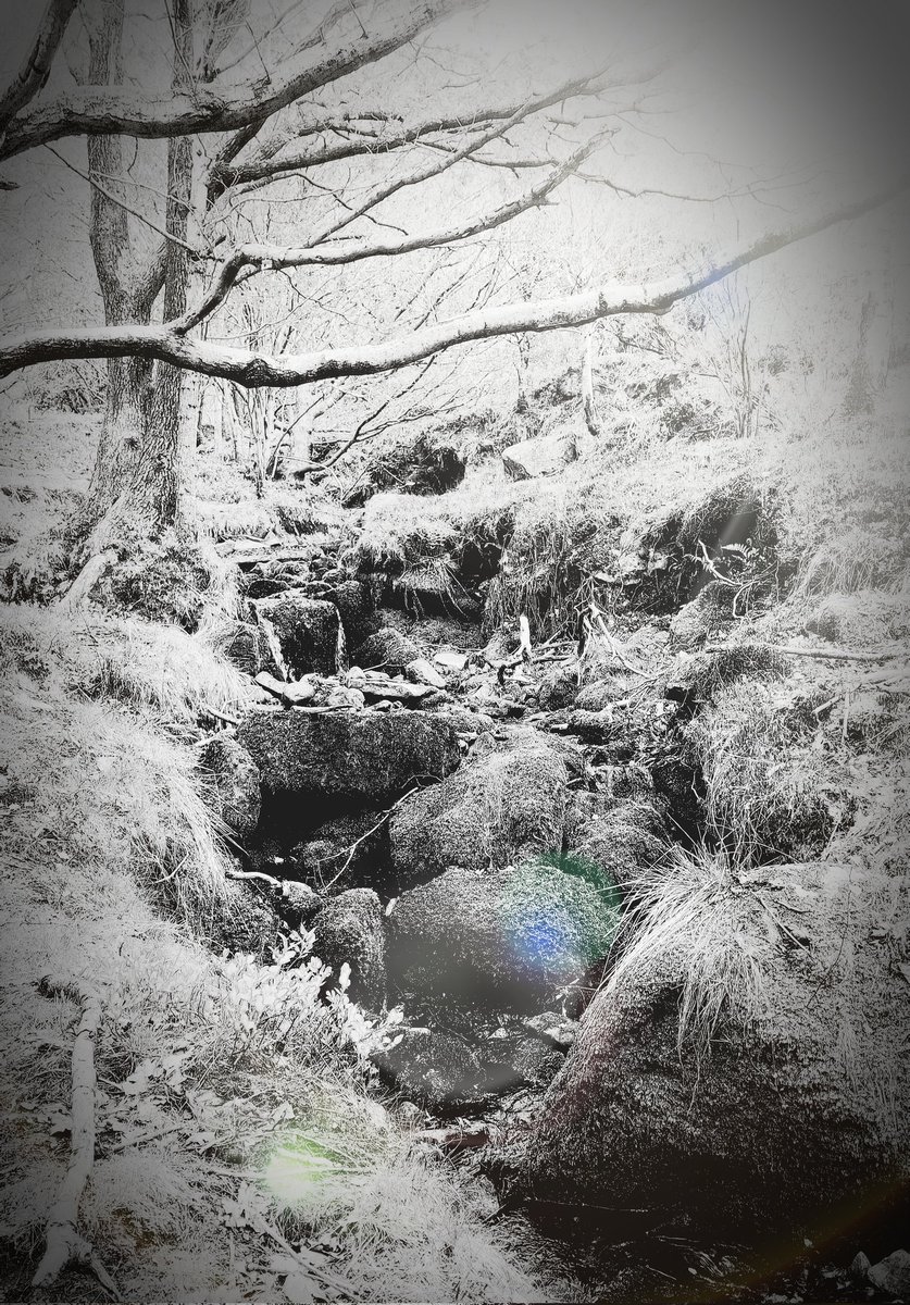 Gameguy69's tweet image. Sights around Clougha Pike, near Lancaster. Part 1 #CloughaPike #countryside #countrywalk #Lancashire #Lancaster