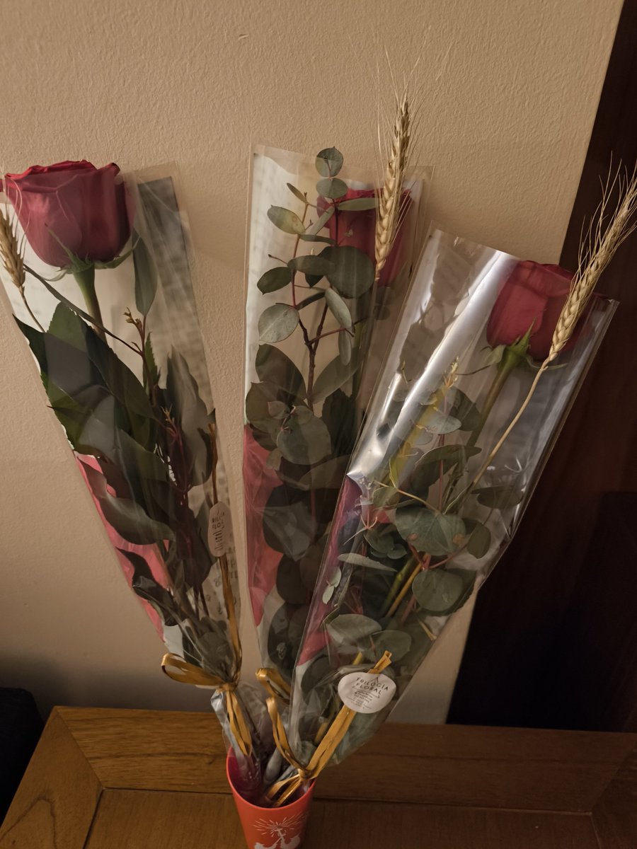 DCat40's tweet image. #feliçSantJordi