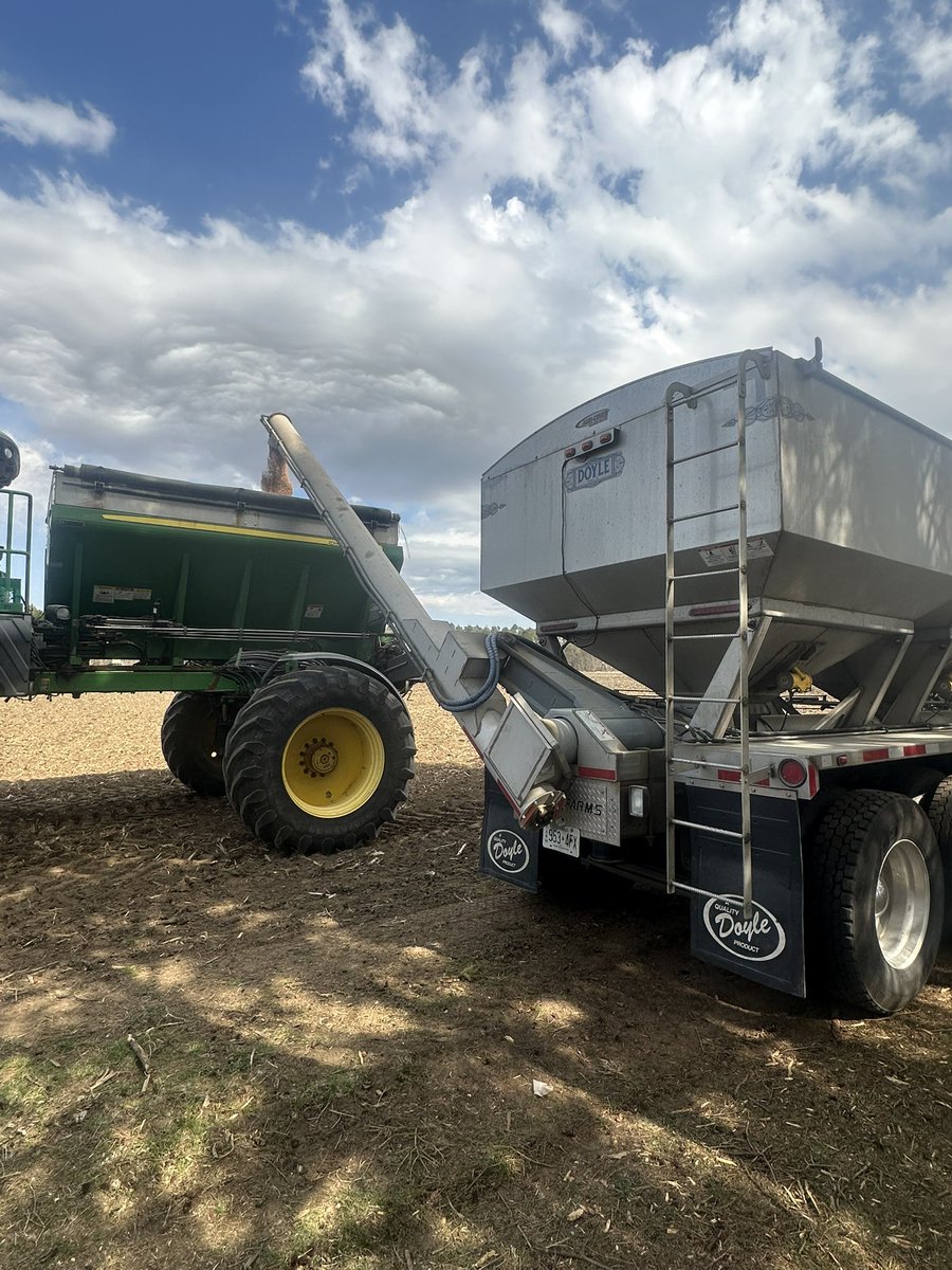 Time for some early beans. <a href="/courtfarms/">Bruce Court</a> bringing the goodies