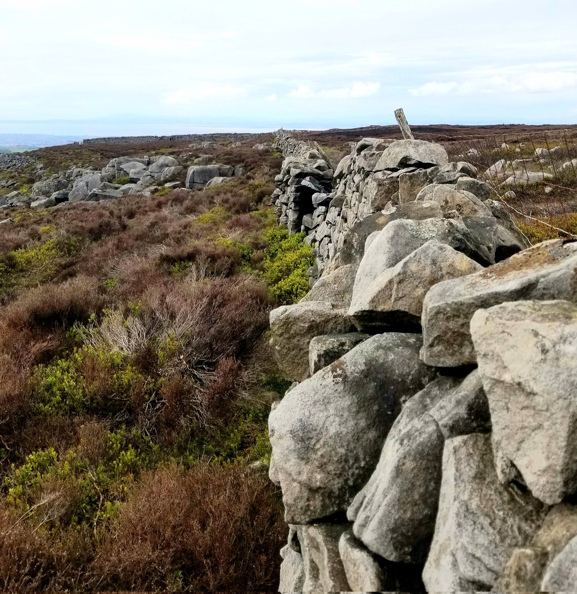 Gameguy69's tweet image. Sights around Clougha Pike, near Lancaster. Part 2 #CloughaPike #countryside #countrywalk #Lancashire #Lancaster