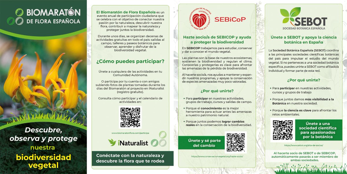 Biomaratón de Flora Española (@biomaraton) on Twitter photo El #VBiomaratón no sería posible sin nuestros patrocinadores, las sociedades <a href="/OficialSebot/">Sociedad Botánica Española</a> y <a href="/SEBiCoP/">sebicop.bsky.social</a>. 💚
Puedes unirte a ellas para apoyar la ciencia botánica y la protección de la biodiversidad vegetal. 👇🏼👇🏼👇🏼 El #VBiomaratón no sería posible sin nuestros patrocinadores, las sociedades <a href="/OficialSebot/">Sociedad Botánica Española</a> y <a href="/SEBiCoP/">sebicop.bsky.social</a>. 💚
Puedes unirte a ellas para apoyar la ciencia botánica y la protección de la biodiversidad vegetal. 👇🏼👇🏼👇🏼