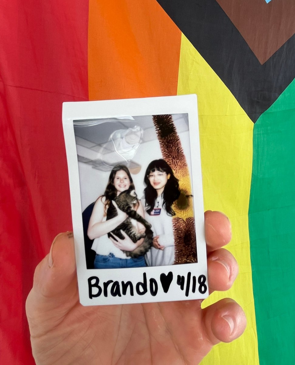 Adoption # 519...Brando! Some weird sorcery happened with this photo but luckily you can still see how cute and happy he is with his new family! This floofy guy was a crowd favorite and we are thrilled he now has a home to call his own. Congrats Brando and fam ❤️