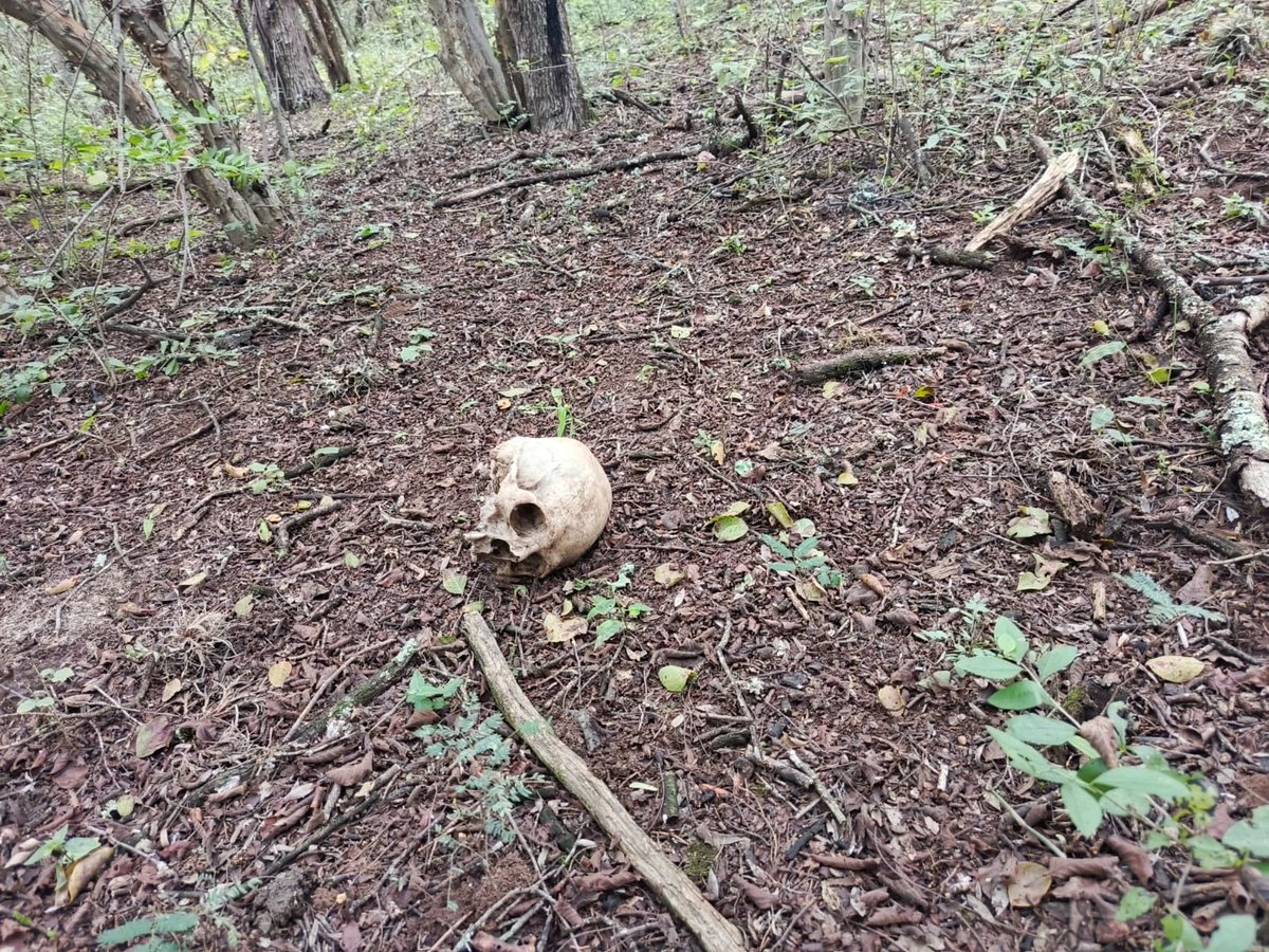 kennySalta's tweet photo. A 6 km de El Sauce, en El Bordo Departamento de General Güemes, se encontró restos oseos en el interior de una finca. En unos de los huesos tienen puesto un reloj de pulsera . La Policía de Salta se traslada al lugar. https://t.co/zBdo54Tcro