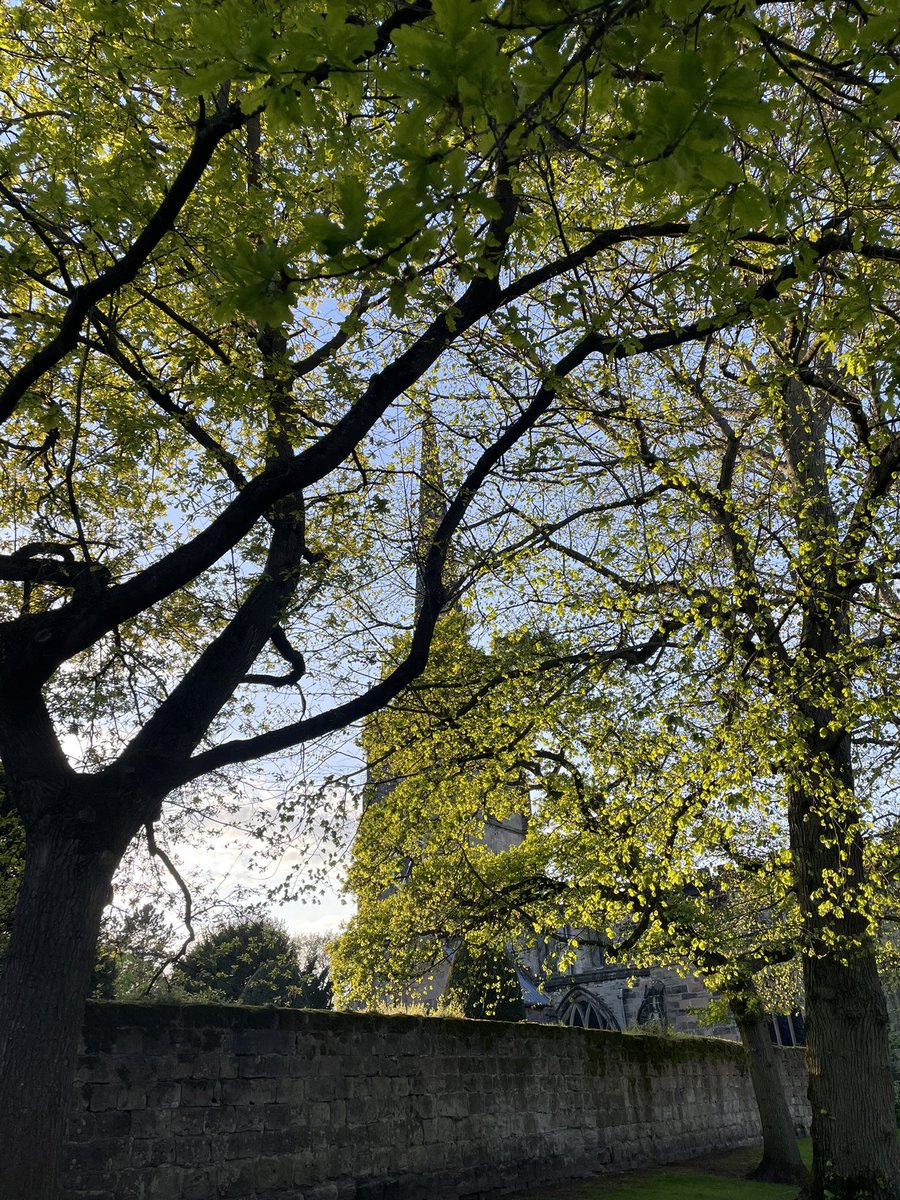 Repton School Life tweet media