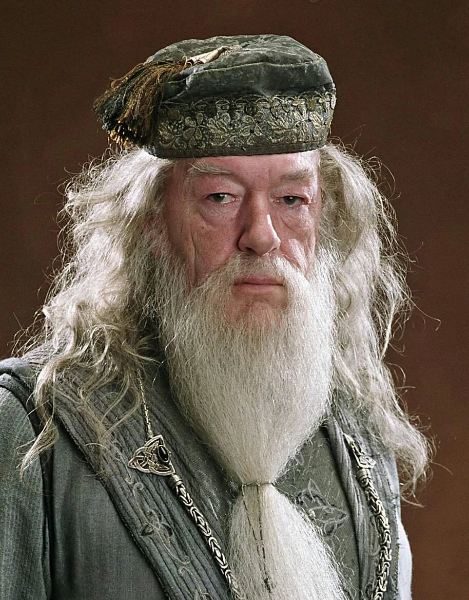 timeimmemorial_'s tweet photo. Breaking: Junior Soprano will play Albus Dumbledore in HBO’s upcoming Harry Potter series https://t.co/mqCSEtyVIW