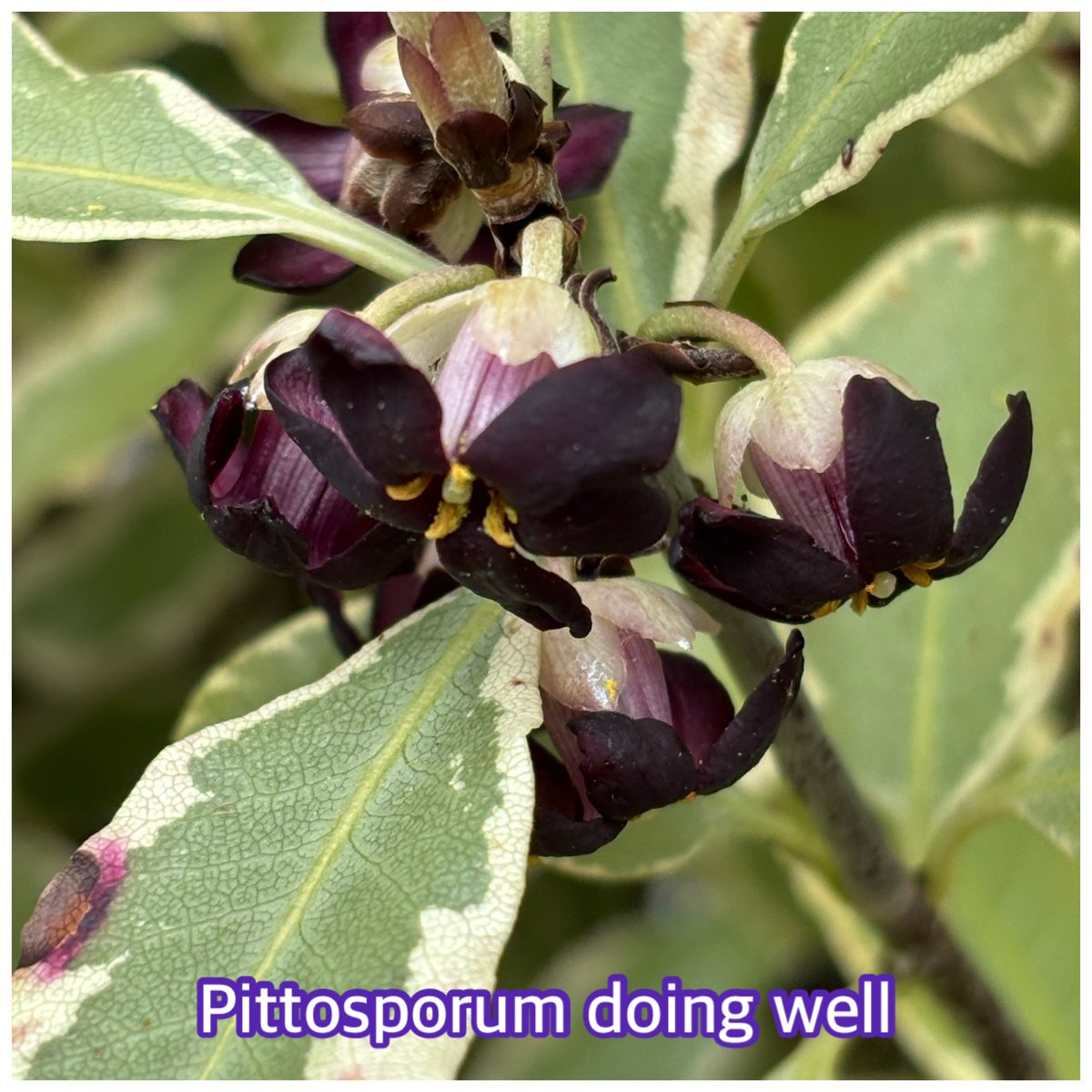 V enjoyable &amp; purposeful meeting <a href="/SnapeMaltings/">Snape Maltings</a> #JonGay this a.m. Walked boardwalk, said hello to T - yartzheit today - 3 years. Lovely lunchtime chat with <a href="/caroledolman/">tigers.carole</a> - proper catch up. Bit of gardening &amp; short walk, late lunch/early supper, 👍 #Facetime with <a href="/barskyreid/">Sue Barsky Reid</a>🍷🍷🥰