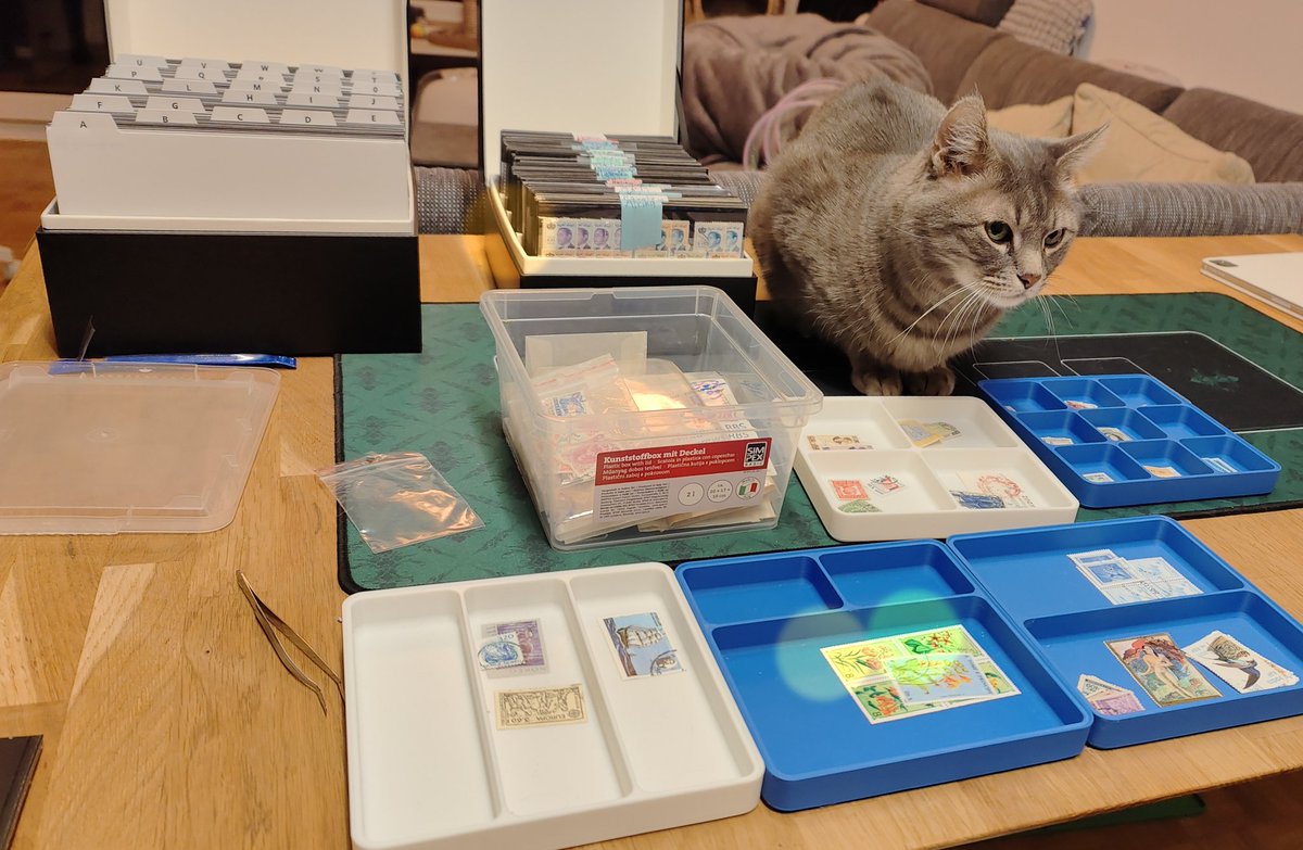 Wednesday evenings be like