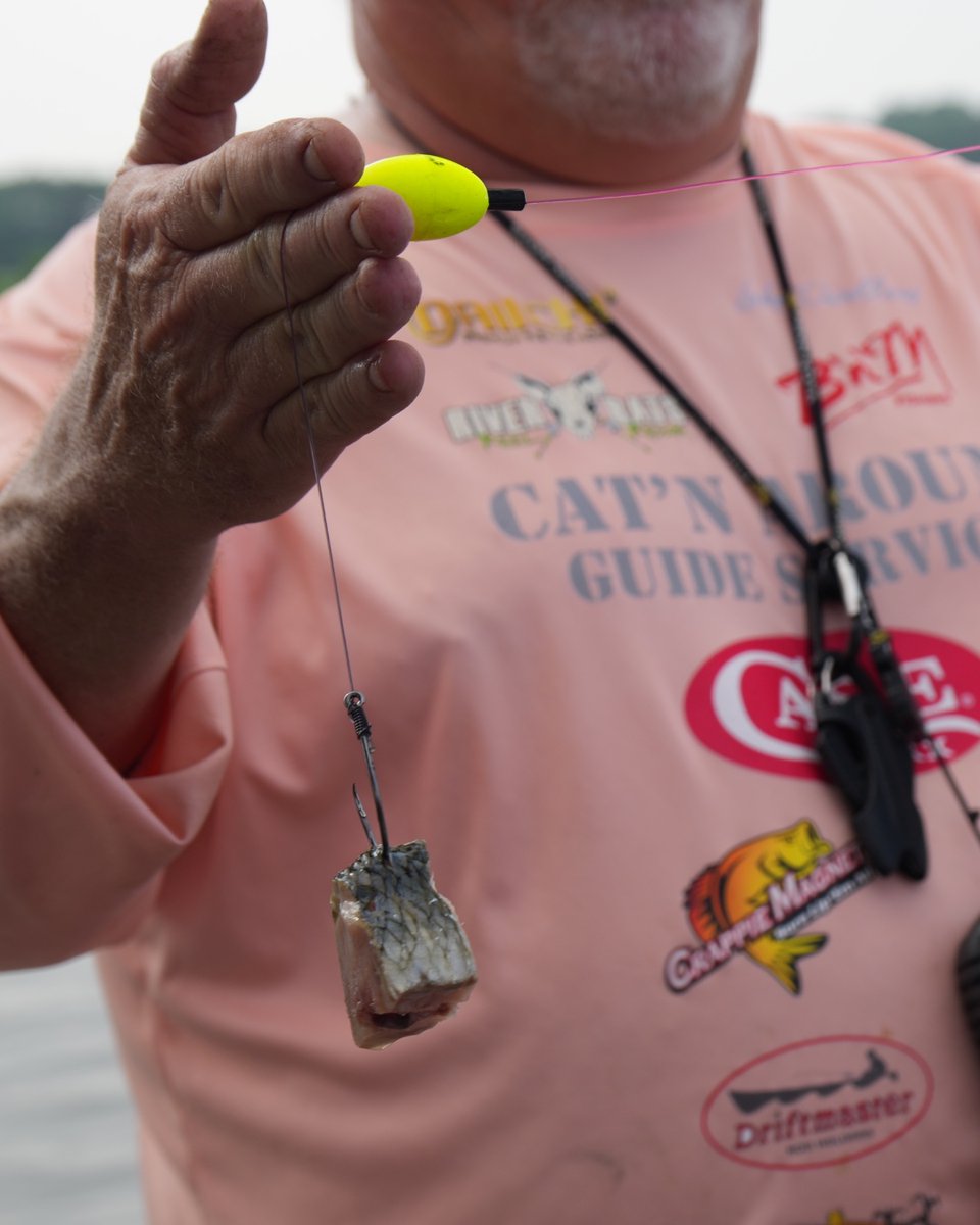 CatfishNOW1's tweet photo. Whether you're using a float rig, bump rig, or fishing on the bottom, tying on a Boss Kat Circle Hook can help you land more bites! 🎣 Made from reinforced steel with razor-sharp points!
https://t.co/n43t9s59Au
#BossKat #CircleHook #BigFishGear #HookMoreFish #FishingMadeEasy https://t.co/VCmnjbJvS5