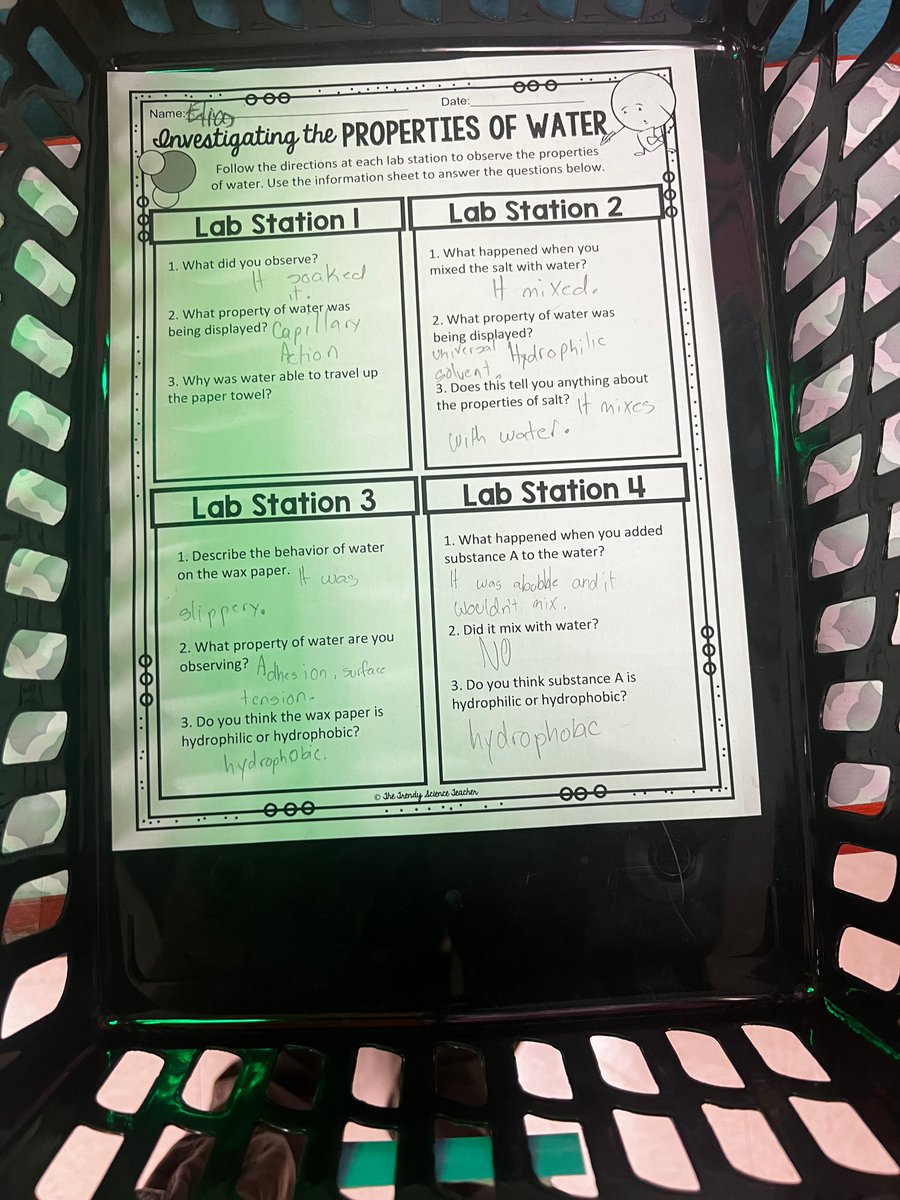 Paola De Avila tweet media