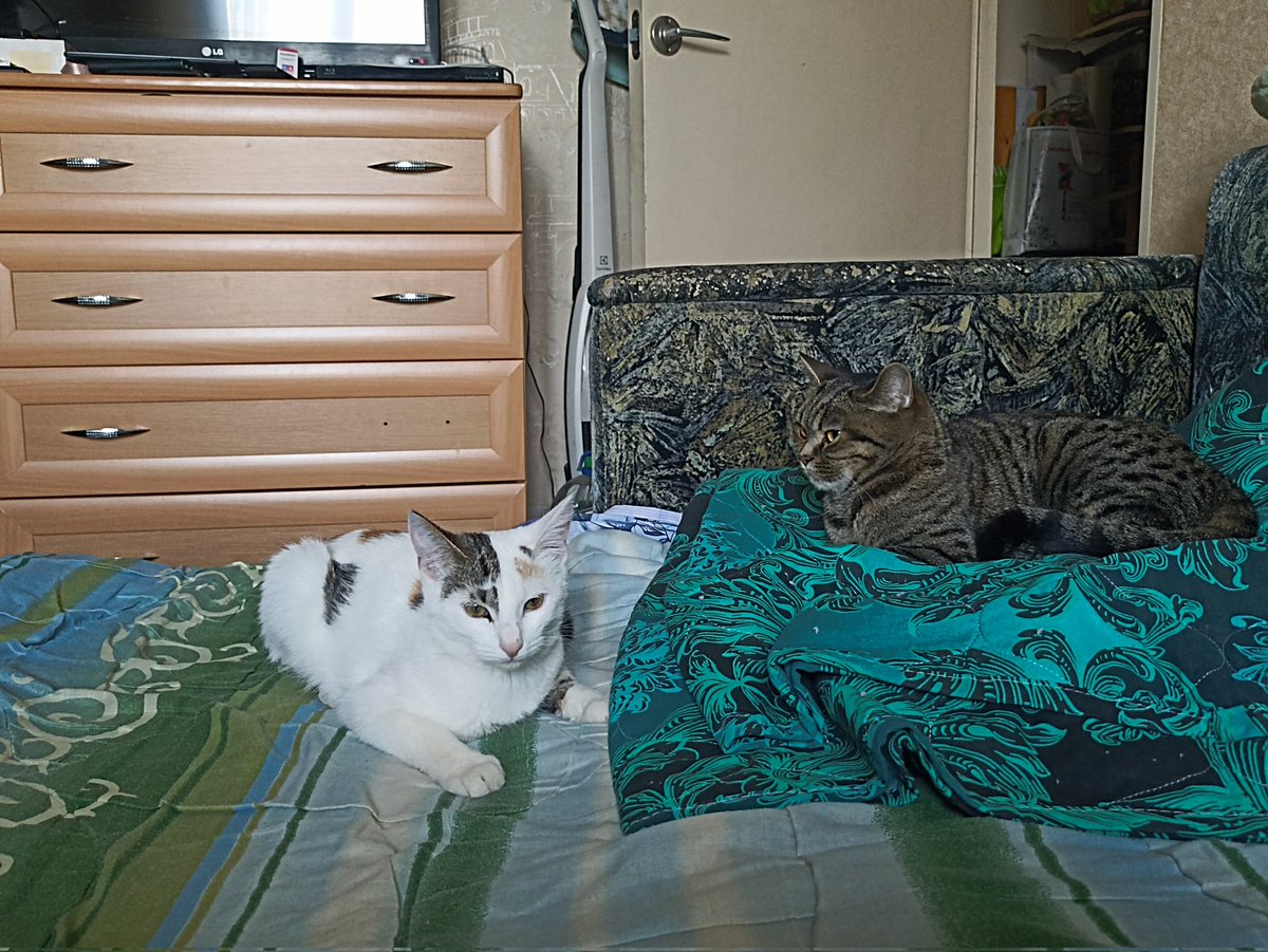 Встреча на Эльбе состоялась. 
Космические девочки: Луна (слева) и Кассиопея (справа).
Да, не все еще гладко. 
НО! 
Космос ближе, чем кажется :) 

Вот и все новости к этому часу