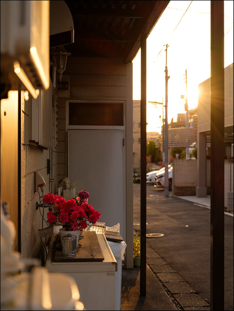 Before Sunset