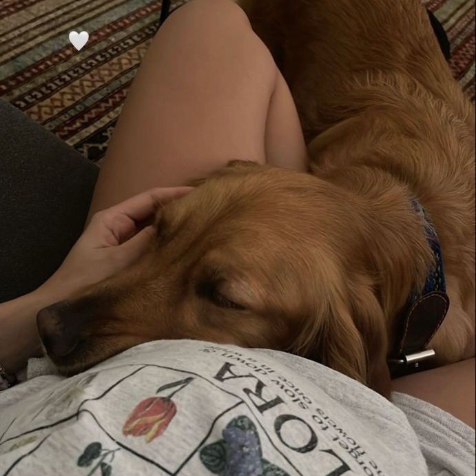 kate_Dogslut's tweet photo. Getting knotted 💦💦 was so sweet💤💞🐾want to watch Clink on my link.
💌https://t.co/vgSGSGcBEj💌

#notted  #k9girl #hentai  #zoolove #doggy #k9lady #knottygirl #dogwoman  #artofzoo #silesto #raven #zoo #taboo #animal #mommy #zoophilia #BBFanFest #ads2025 #RutoMustGo #Everyone https://t.co/BdJjQn0oCx