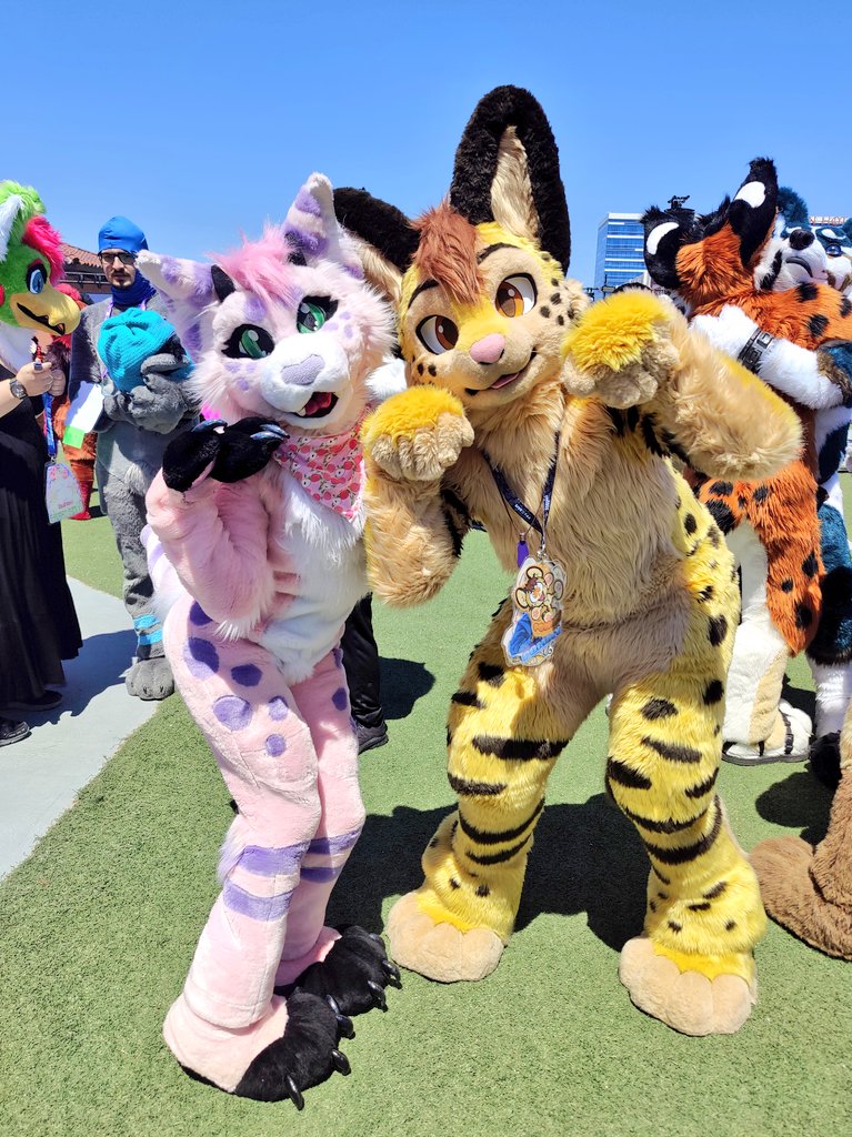 🌸Clem🌸 tweet media