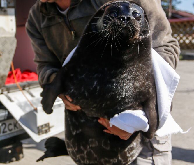 Mene 🦭 tweet media