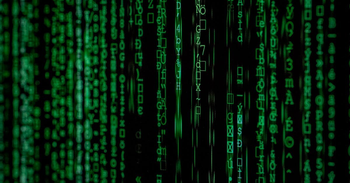 Bdevollx's tweet photo. Just dove back into the Matrix, and WOW, I'd forgotten just how much I love a good action-packed movie! 🦸‍♂️ These films seriously get my adrenaline pumping and fuel my passion for health and fitness. 💪 What's your ultimate go-to movie for a motivation boost? Let's swap our all https://t.co/7CrU12dB3J
