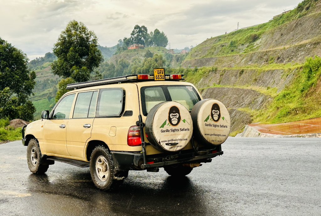 gorillasights's tweet photo. Explore  Uganda with us. Direct to the home of Mountain Gorillas. https://t.co/TrDWQvLwwp