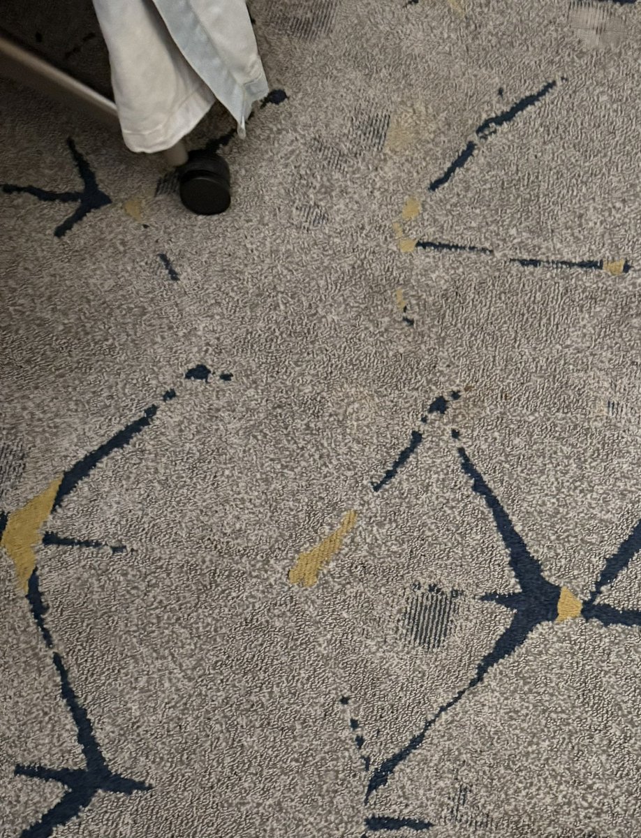 iris2free's tweet image. @sheratonhotels I was offered and charged an extra fee for a deluxe upgraded room. Look at the carpet in this room at the Sheraton Gateway Los Angeles hotel. Conditions were not worth the price. Substandard 🤦🏻‍♀️