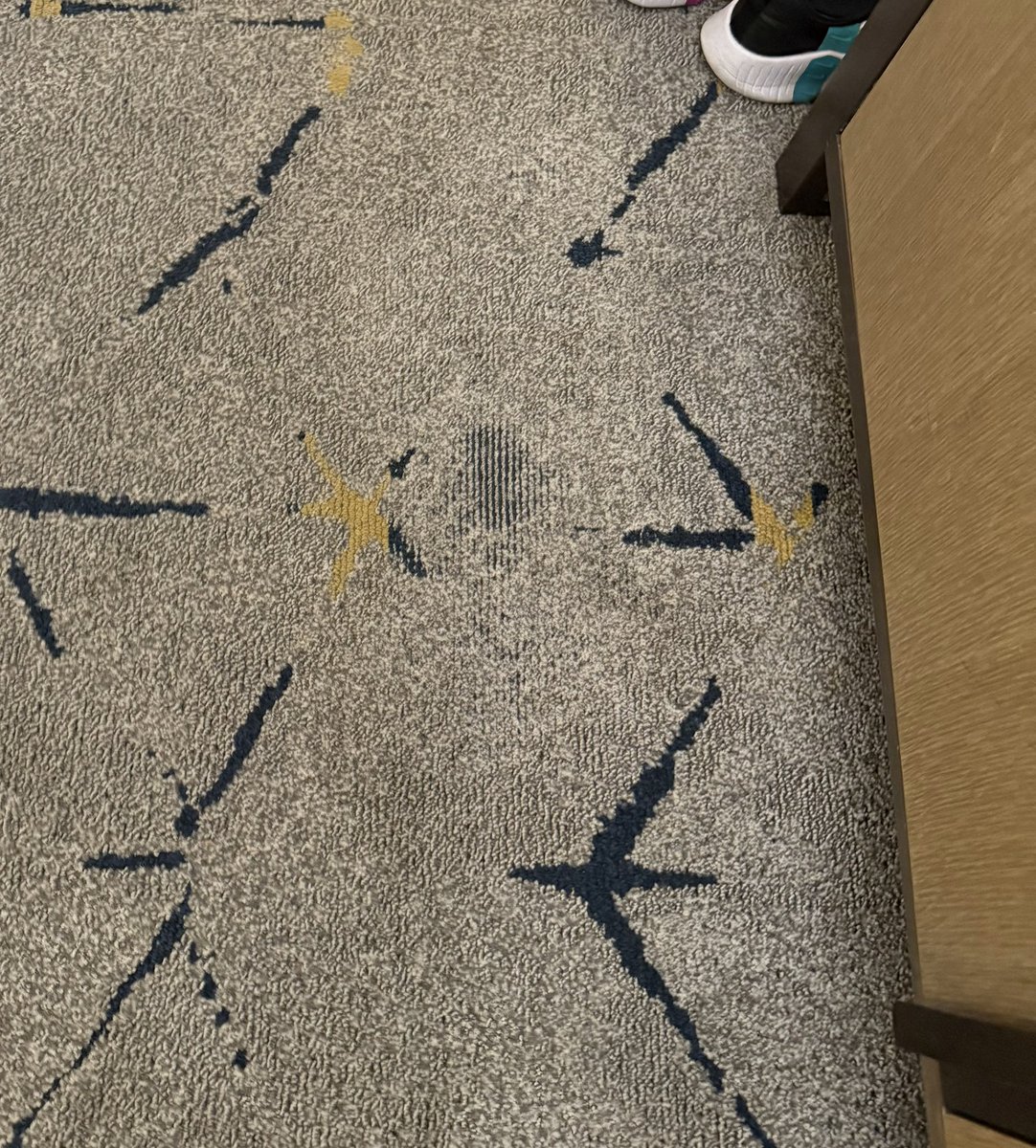 iris2free's tweet image. @sheratonhotels I was offered and charged an extra fee for a deluxe upgraded room. Look at the carpet in this room at the Sheraton Gateway Los Angeles hotel. Conditions were not worth the price. Substandard 🤦🏻‍♀️