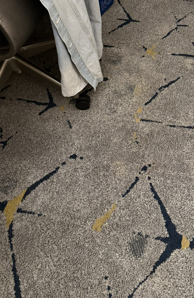 iris2free's tweet image. @sheratonhotels I was offered and charged an extra fee for a deluxe upgraded room. Look at the carpet in this room at the Sheraton Gateway Los Angeles hotel. Conditions were not worth the price. Substandard 🤦🏻‍♀️