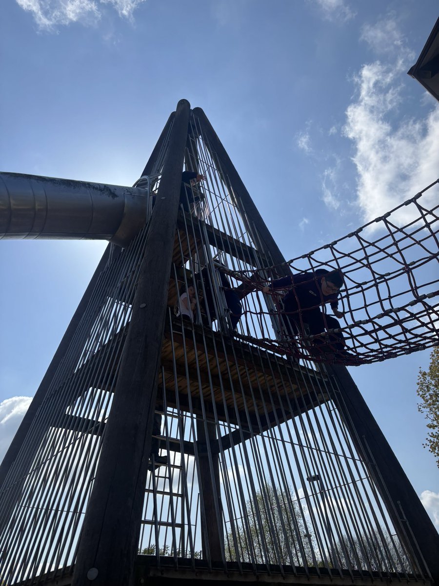 MissCarbery tweet media