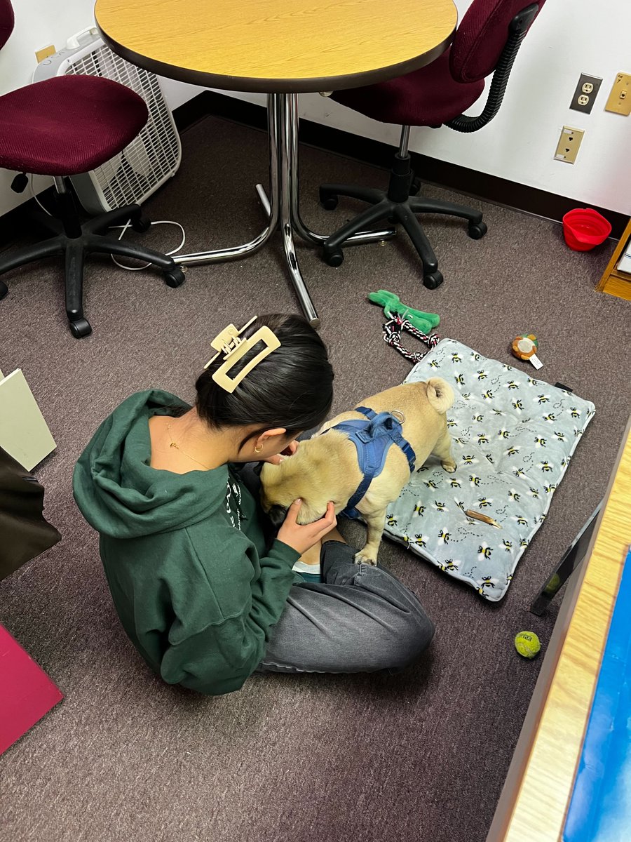 dailypennalumni's tweet photo. Production night at the DP wouldn't be complete without snuggles with Hoagie🐾💗

#dailypenn #dpalumni #studentjournalism #penn #philadelphia #dailypennsylvanian #uofpenn https://t.co/VqqtodoZA0
