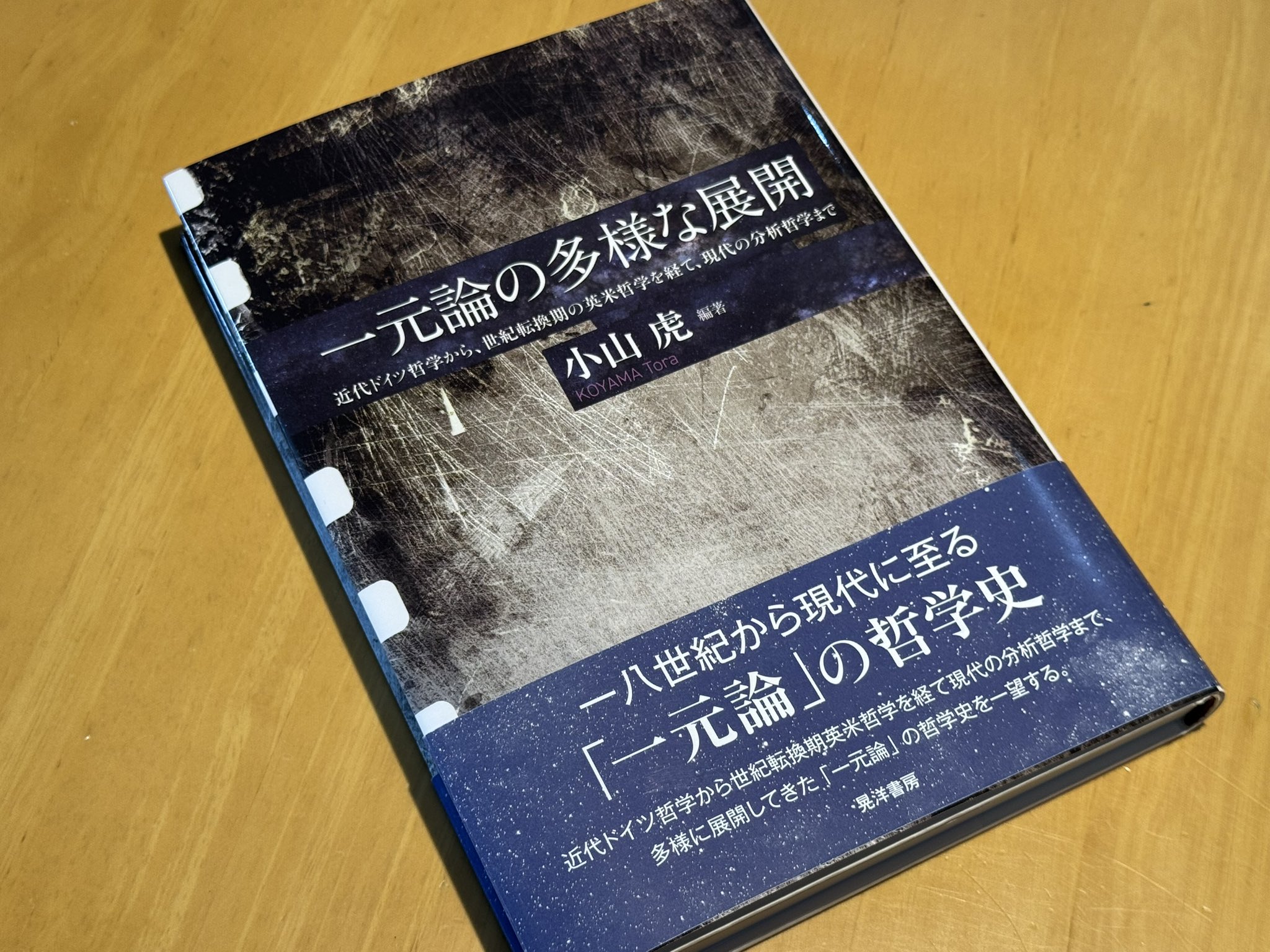 Amazon.co.jp: 日本の近代化と障害者 晃洋書房 : おもちゃ