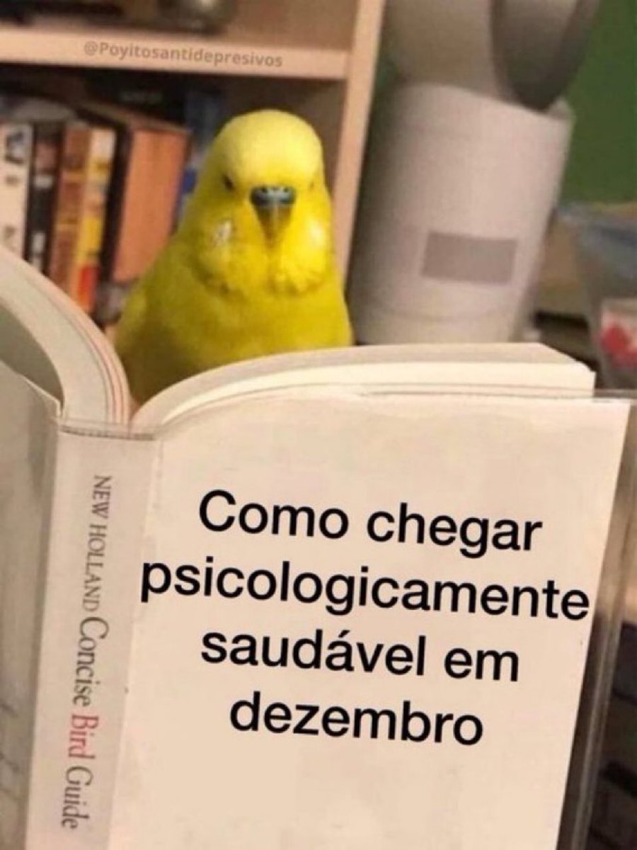 Trouxinha (@euovitinn) on Twitter photo 