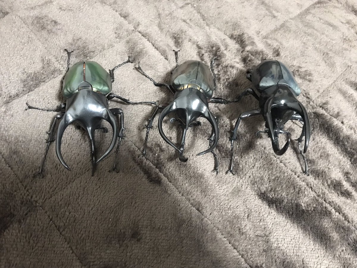 いきもの大図鑑のコーカサスオオカブトシリーズ全種揃えました