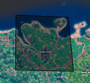 frt veer tweet media