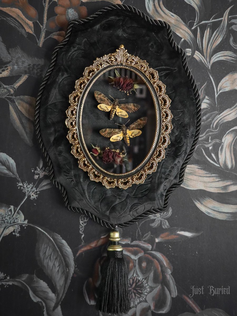JUSTBURIED_CO's tweet photo. Lesser Death’s Heads and roses 🥀 
Laid to rest in a stunning wooden handcrafted &amp; upholstered frame accented with rope trim, bottom tassel, and ornate top frame. This piece will be available for purchase in our next drop, stay tuned for more details! https://t.co/bQ4M3TyjN8