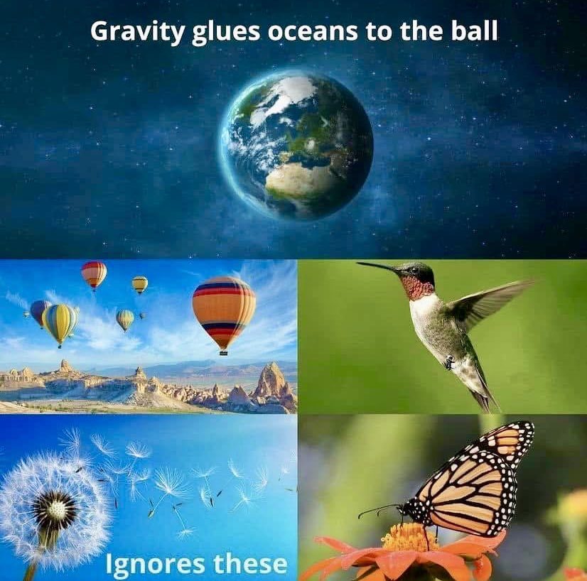 They say gravity holds oceans to a spinning ball, yet lets butterflies float and dandelions drift with ease. But the Bible tells a different story…of a fixed, immovable earth beneath a firmament, where the sun and moon move above us. Man’s theories change. God’s truth doesn’t.