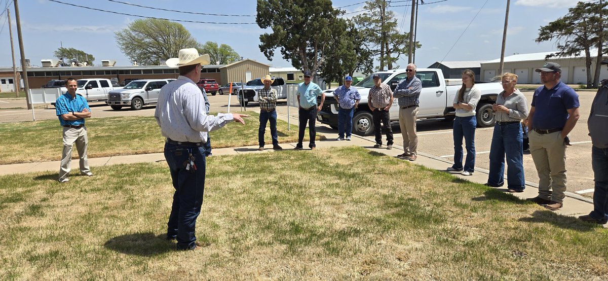 DrAgustingrass's tweet image. Some highlights from my trip to Lubbock and Amarillo, TX. Zoysiagrass demos, Extension Agent Training and Industry Seminar. @bulldawg3155 @AggieTurf @txextension