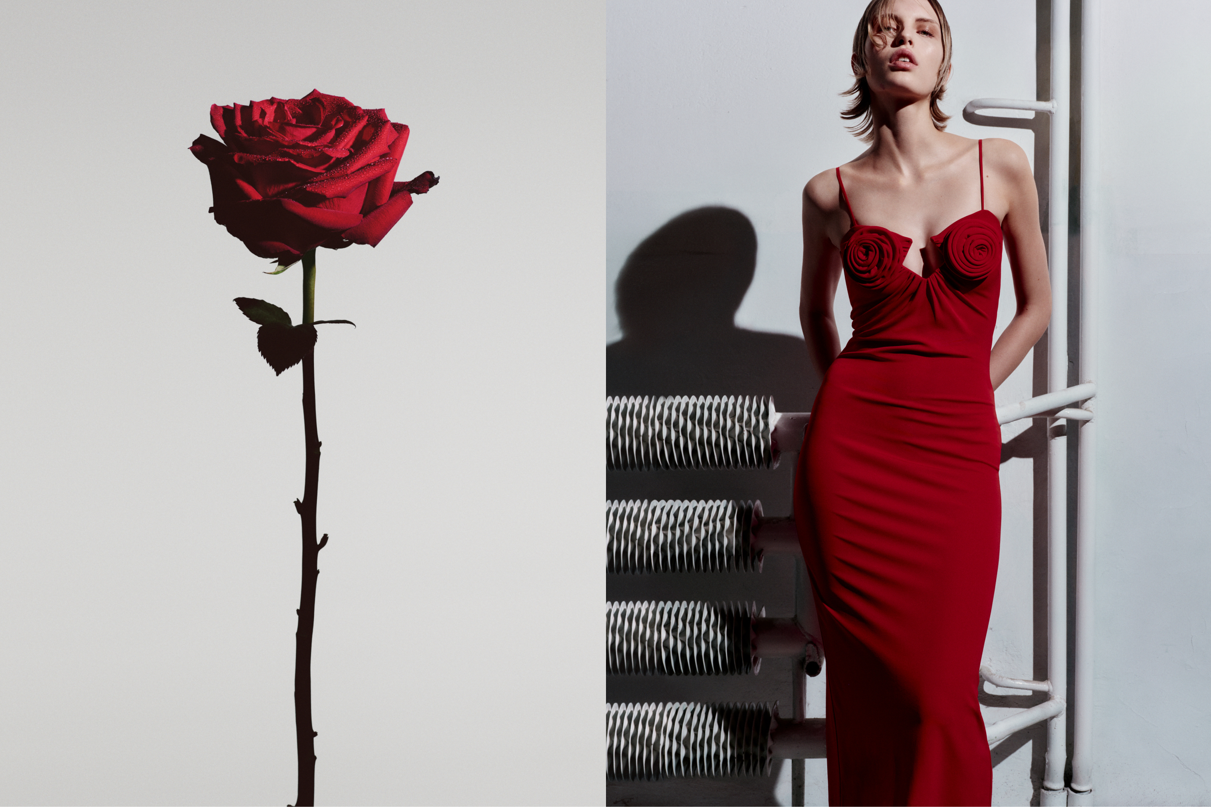 H&M Japan on X: 
