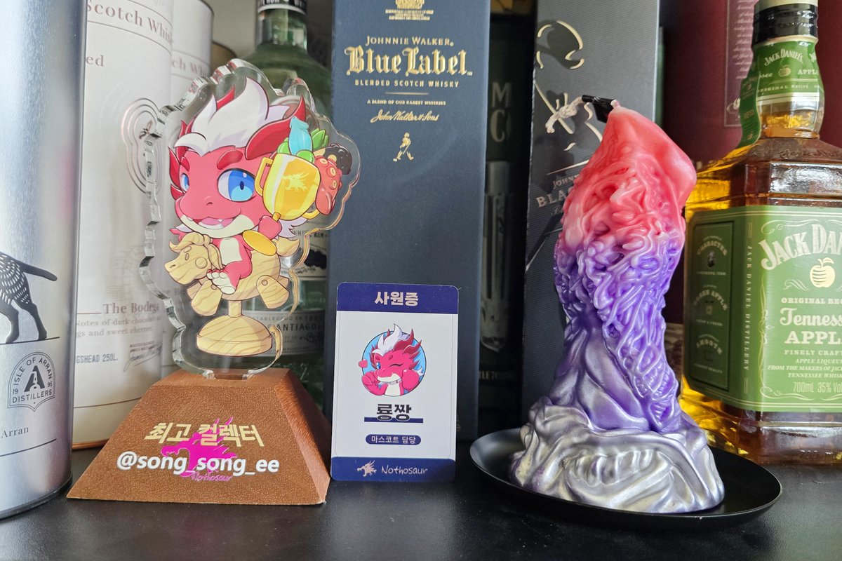 노토사우르 마가라 캔들