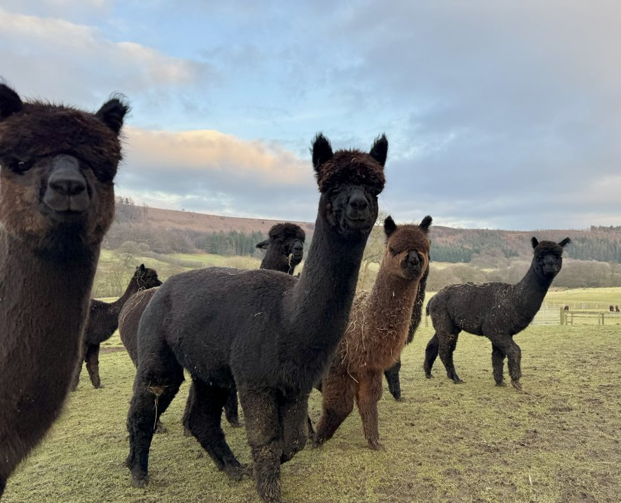 They are looking at you.