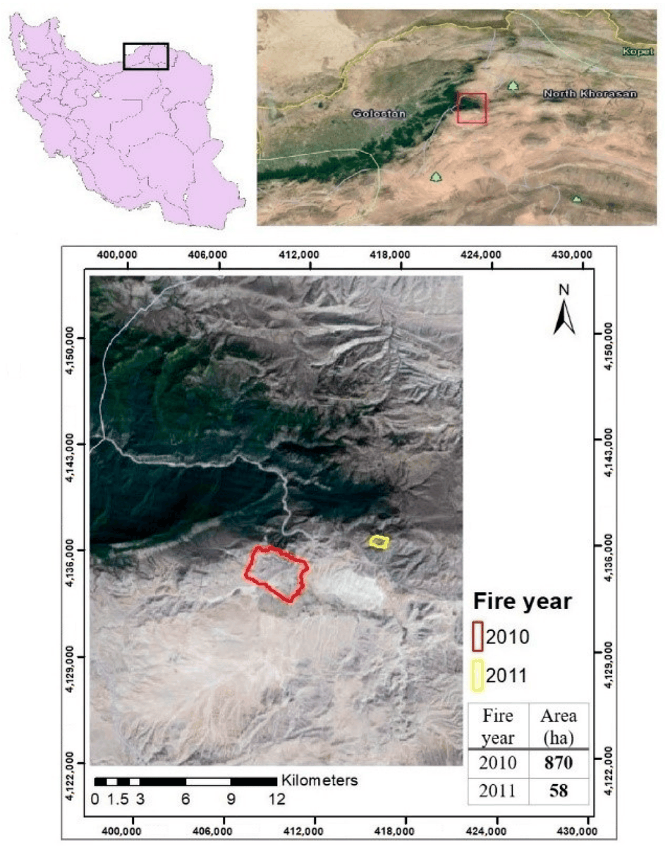 MDPIEnvironment's tweet image. #firemdpi #highviews
🔥Identifying Influential Spatial Drivers of Forest Fires through Geographically and Temporally Weighted Regression Coupled with a Continuous Invasive Weed Optimization Algorithm

👉 mdpi.com/2571-6255/7/1/…

#forest_fires  #remote_sensing