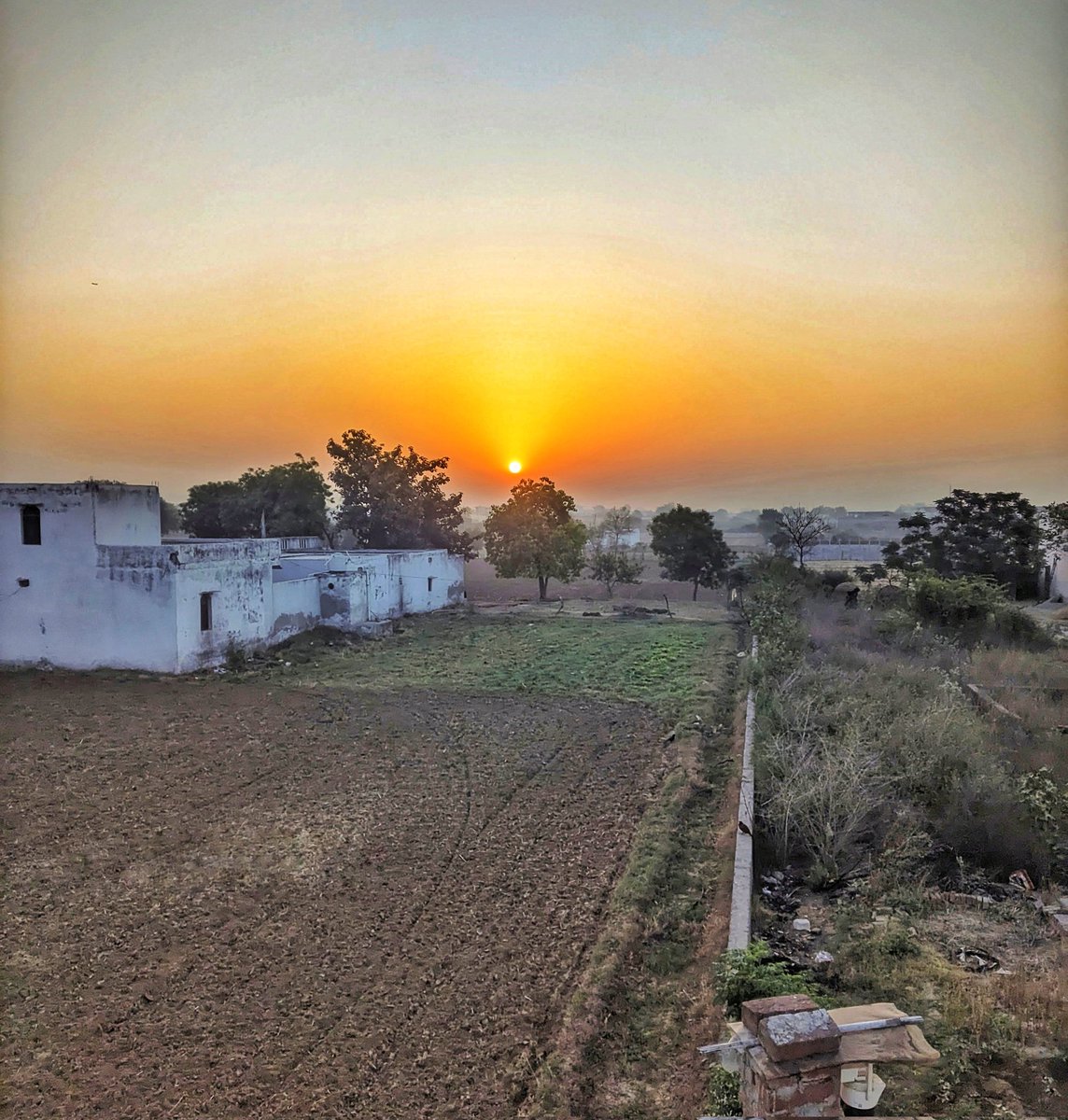 जहाँ शोर नही, बस सुकून और शांति मिले
वही होती है गाँव वाली भोर.. 😍