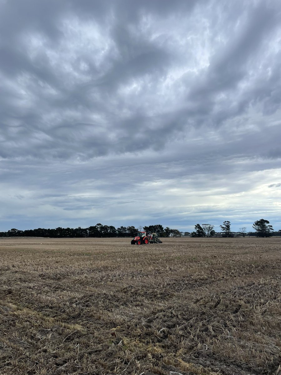 ben_leopold's tweet photo. Canola fungicide and nutrition trial underway out Dalyup. Exciting site, 124 plots 🤝@RichieAgroRich https://t.co/Pp7D4mUrcc