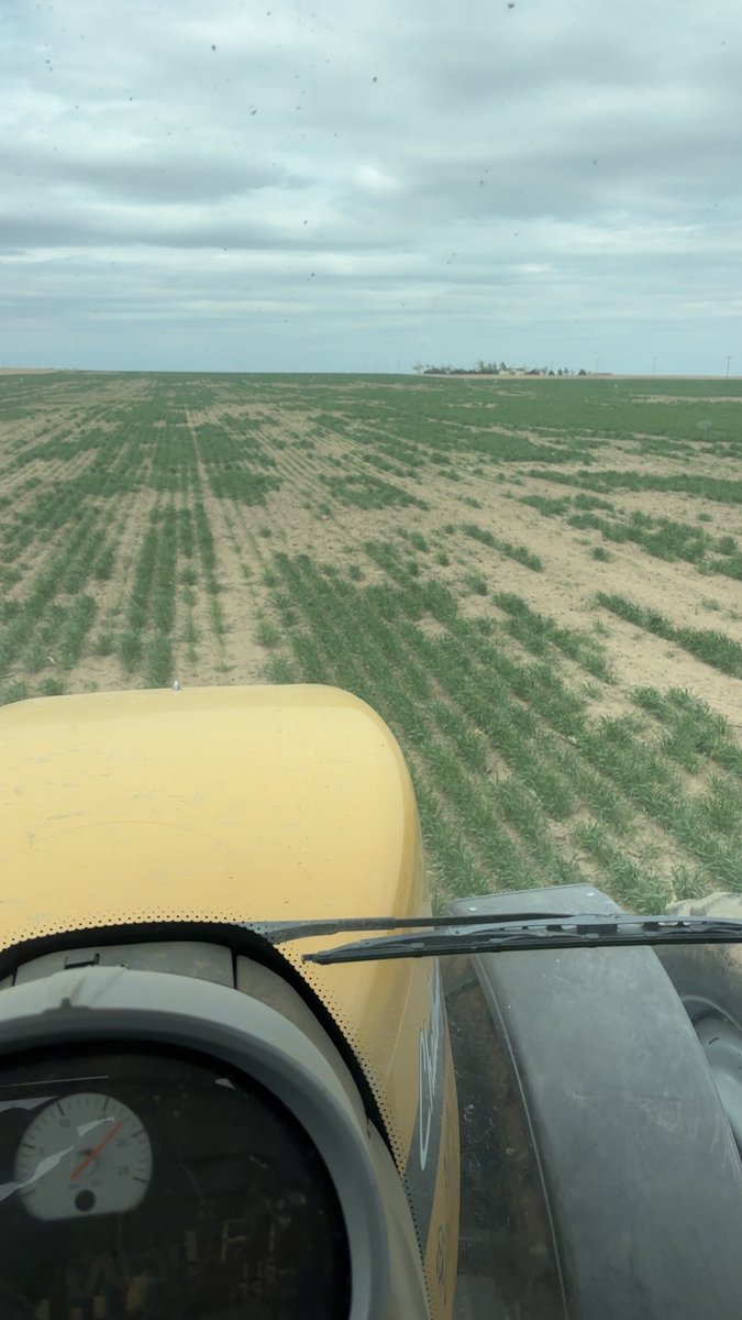 waltopher2's tweet image. New crop KC wheat - new contract lows all around- we did it. Wheat sucks again! 🥳🥳