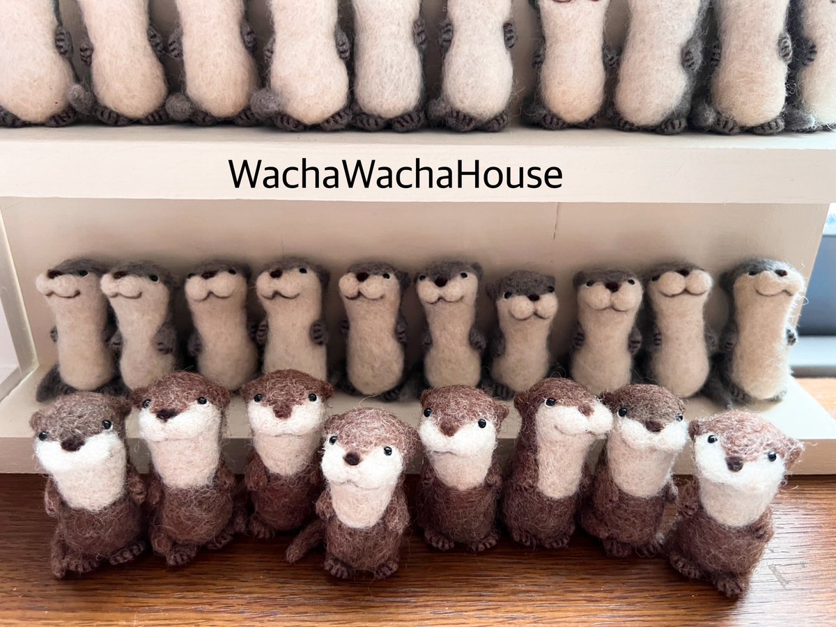 sada ◇Wacha Wacha House (@loner51615) / X sada ◇Wacha Wacha House (@loner51615) / X