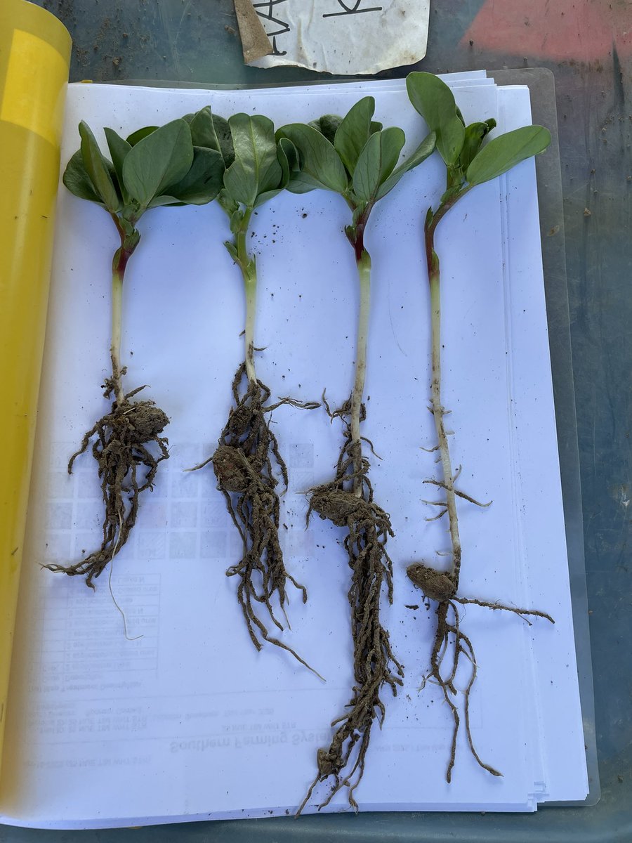 Greta Duff tweet media