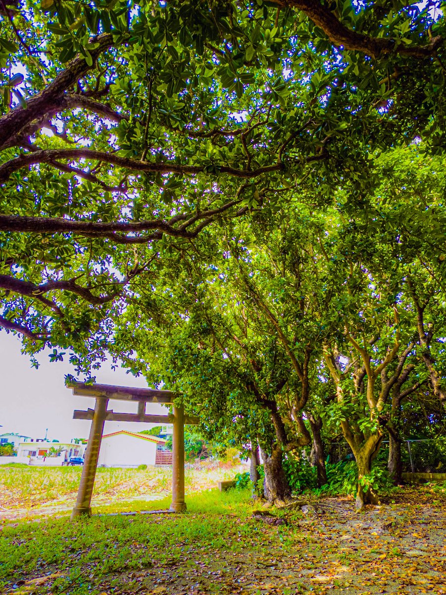 ALMA369oki's tweet photo. 🪨御嶽
📍沖縄県石垣島

#キリトリセカイ https://t.co/BbYoTTnNd7