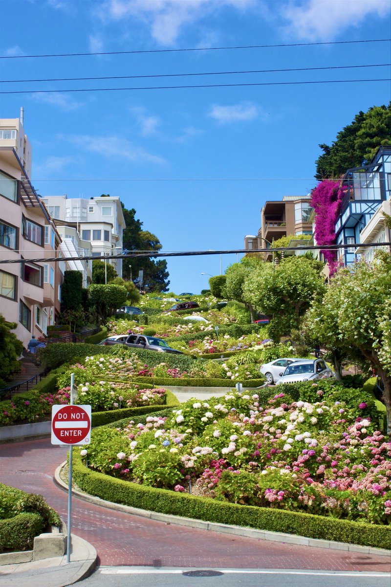 badbrain33's tweet image. #DailyPictureTheme  #meandering